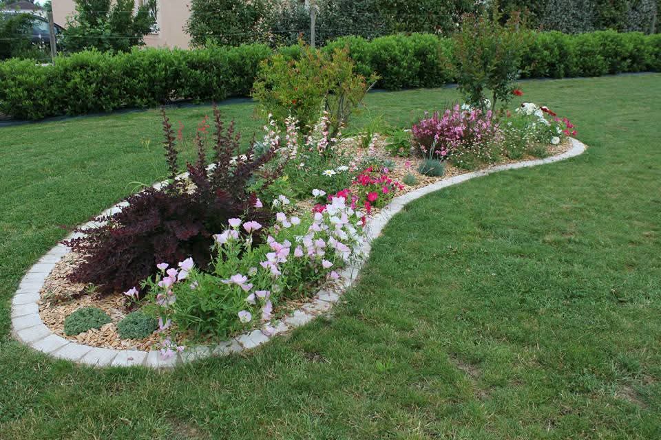 Planter une haie : quelles essences choisir et quand ?