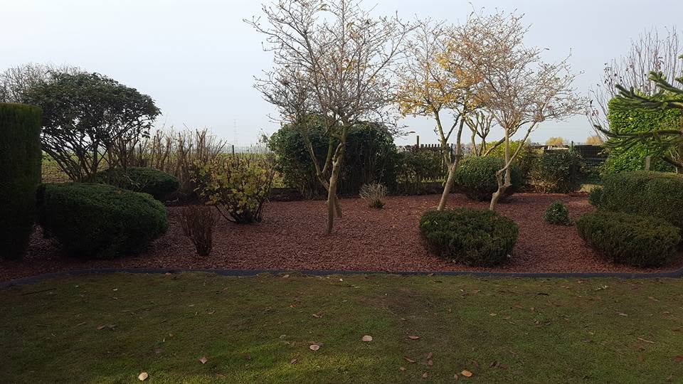 Entretien par Jardin Passion à Seraing