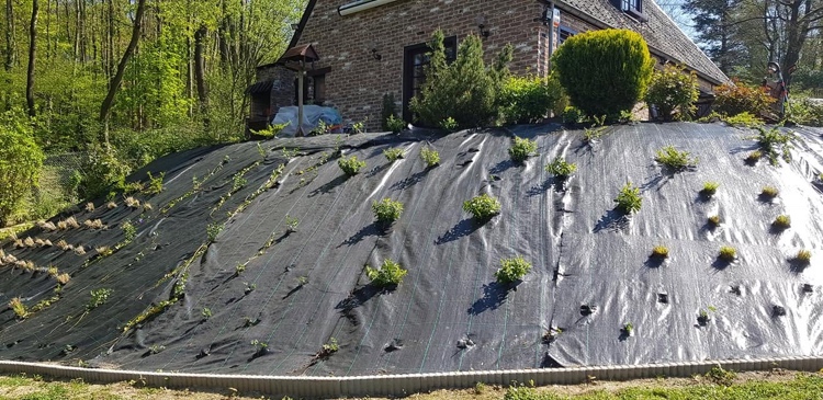 Réalisation de 200 mètres de talus à Esneux par Jardin Passion