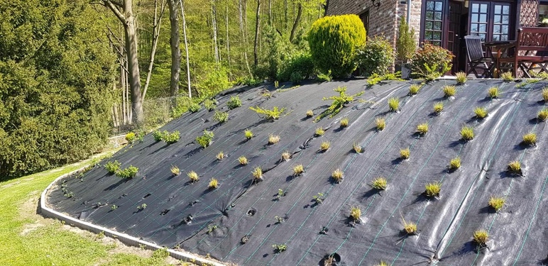 Réalisation de 200 mètres de talus à Esneux par Jardin Passion